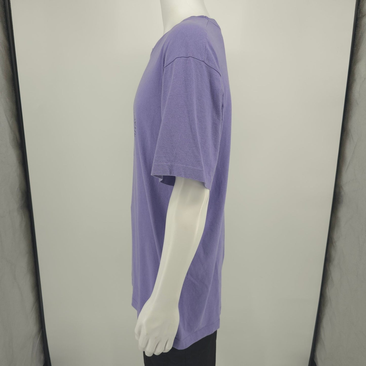Vintage 1990s Fruit of the Loom Lavender Seed Savers Exchange T-Shirt (L/XL)