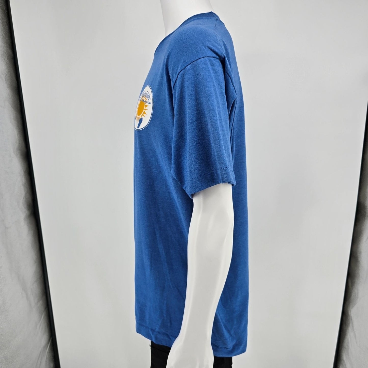 Vintage 1990s "Celebrate Today... Create Tomorrow" Single Stitch T-Shirt (XL)