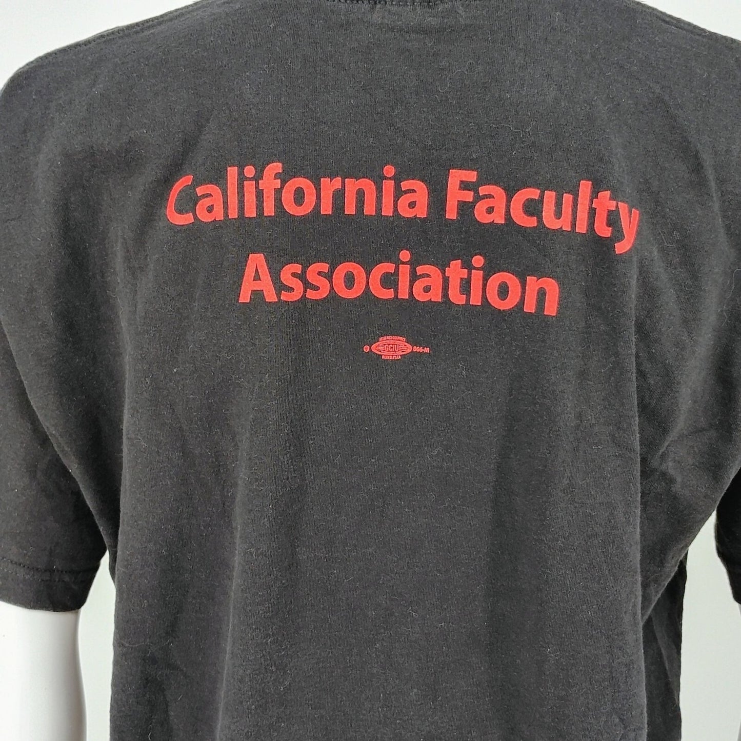 2010 California Day of Action to Defend Public Education Protest T-Shirt (XL)