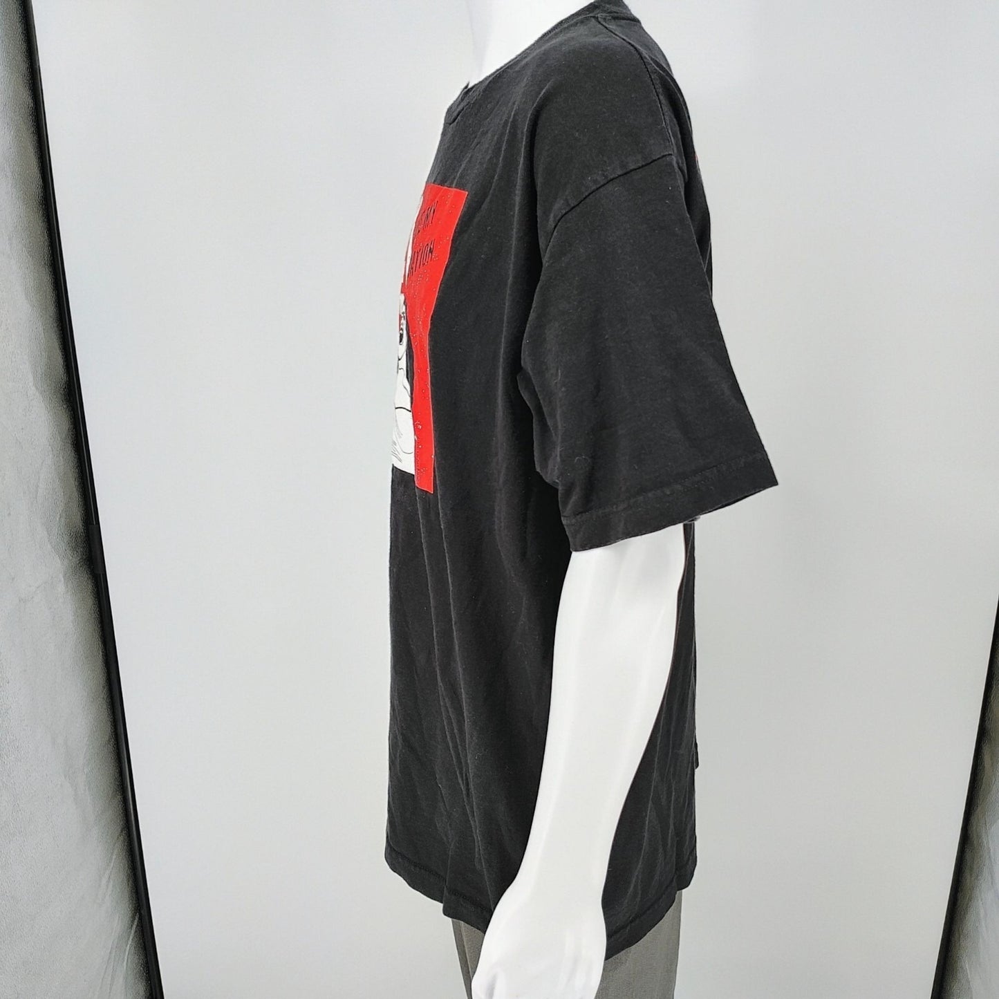 2010 California Day of Action to Defend Public Education Protest T-Shirt (XL)