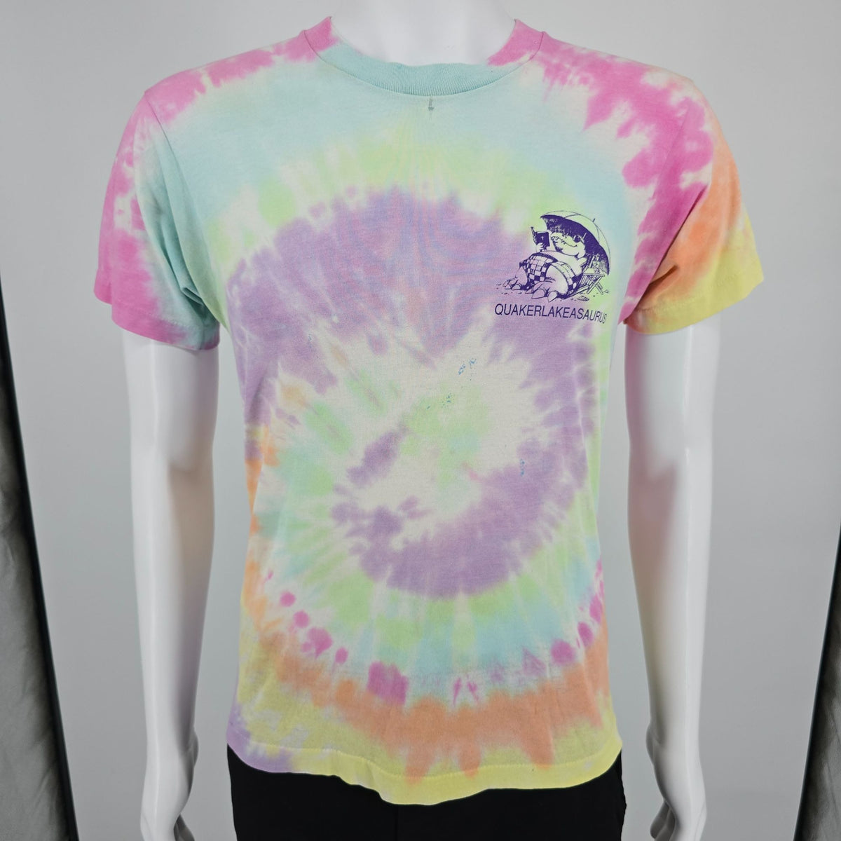 Distressed Vintage 1990s Quaker Lake Quakerlakeasaurus Tie-Dye T-Shirt (S/M)