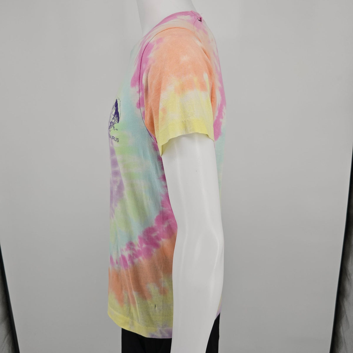 Distressed Vintage 1990s Quaker Lake Quakerlakeasaurus Tie-Dye T-Shirt (S/M)