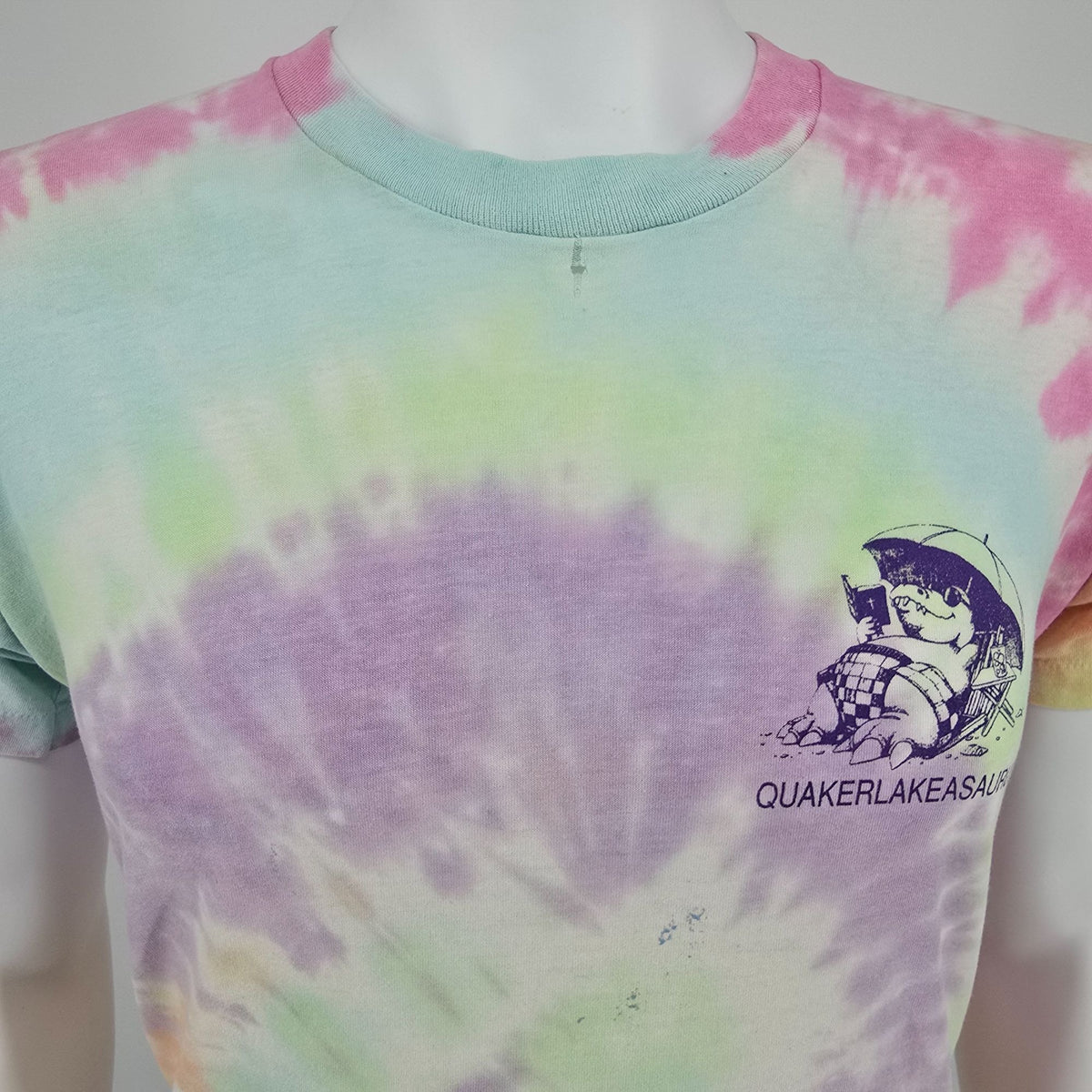 Distressed Vintage 1990s Quaker Lake Quakerlakeasaurus Tie-Dye T-Shirt (S/M)