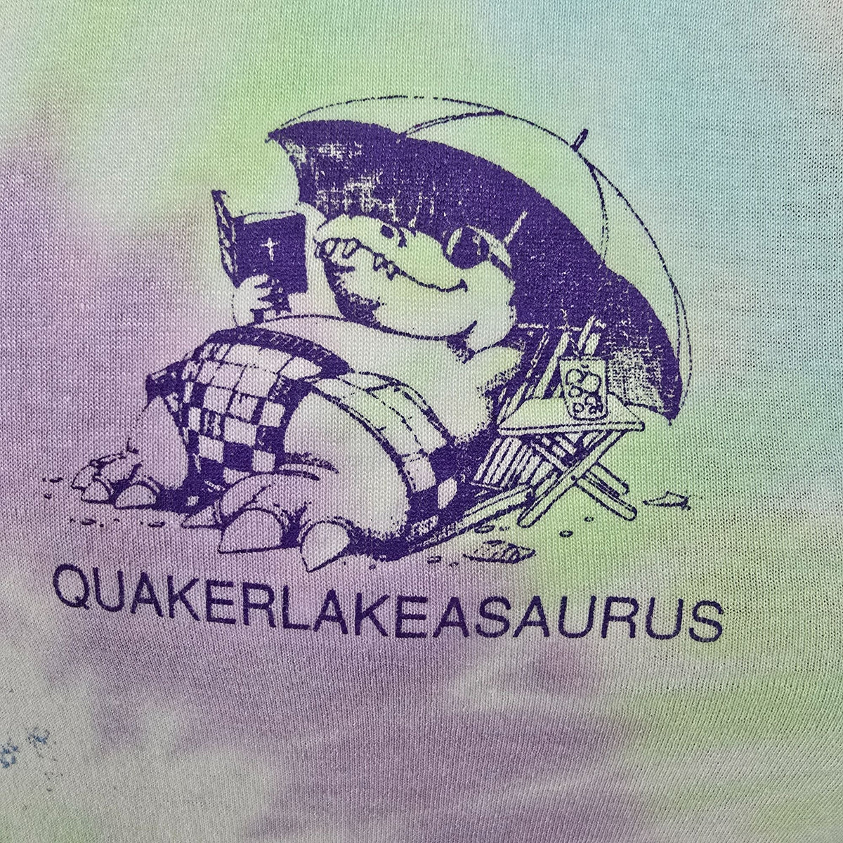 Distressed Vintage 1990s Quaker Lake Quakerlakeasaurus Tie-Dye T-Shirt (S/M)