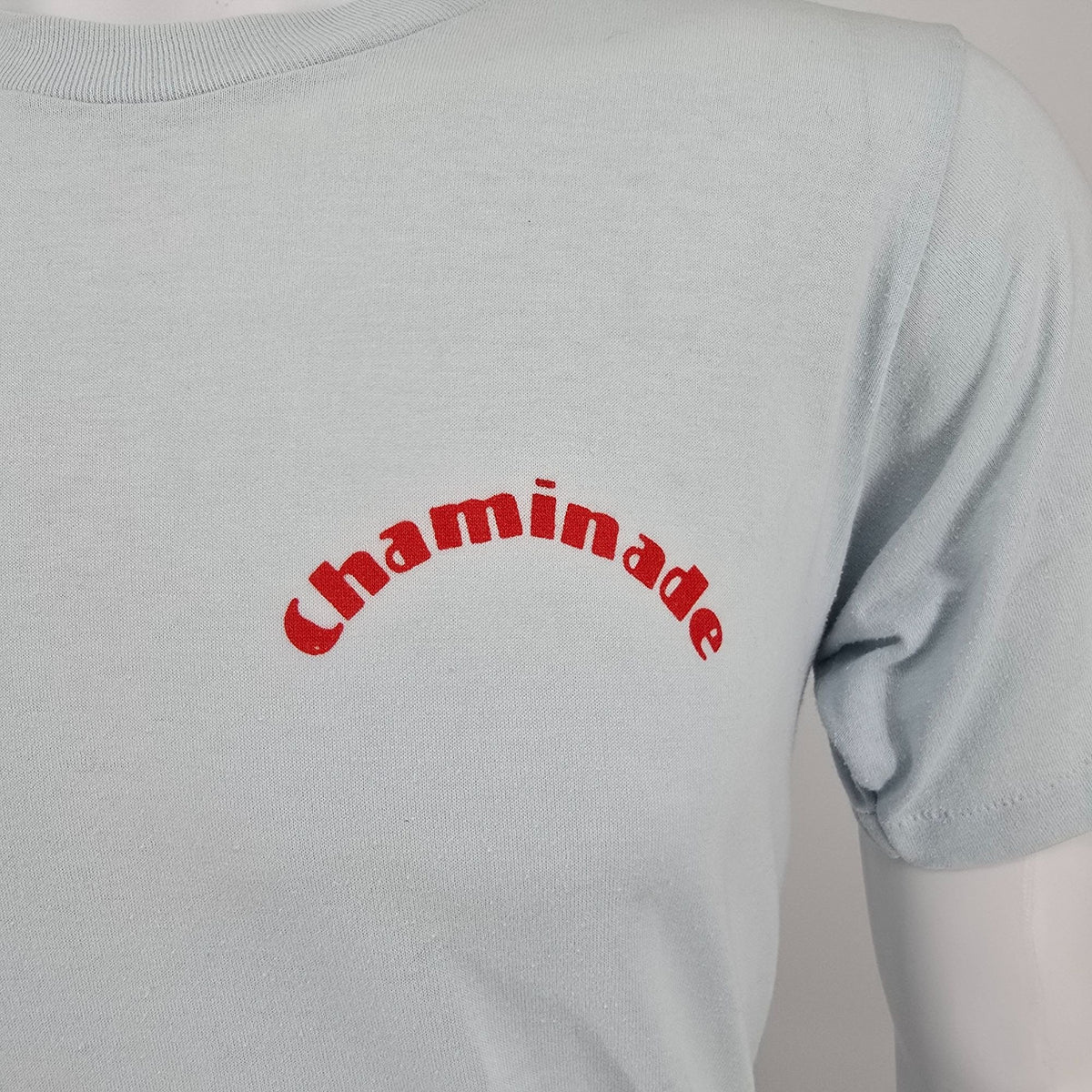 Vintage 1980s Champion Chaminade "Kim Hardwood" Flocked Letter T-Shirt (S/M)