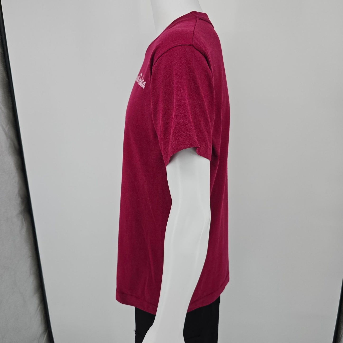 Vintage 1990s Fruit of the Loom Best Burgundy South Dakota Souvenir T-Shirt (L)